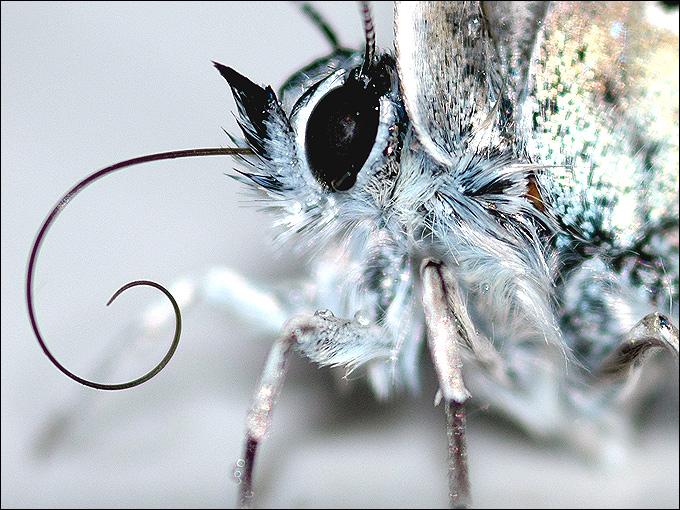 La nature nous étonne (3)