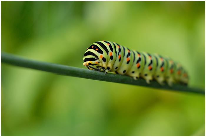 La nature nous étonne (3)