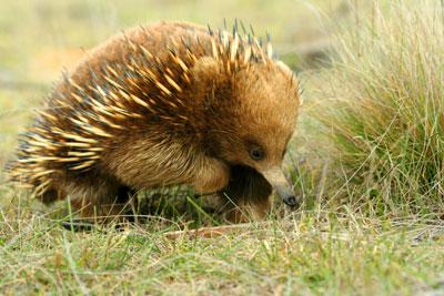 La nature nous étonne (3)