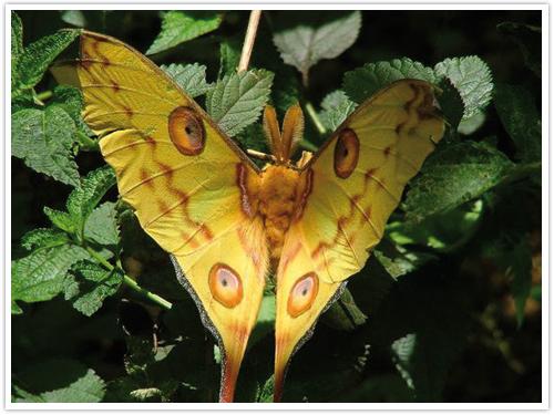 La nature nous étonne (3)