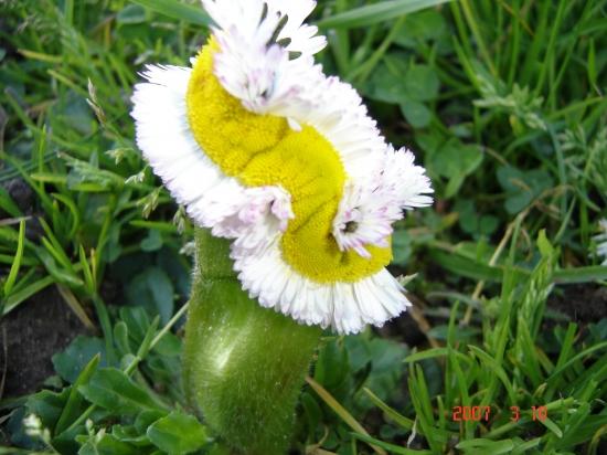 La nature nous étonne (2)