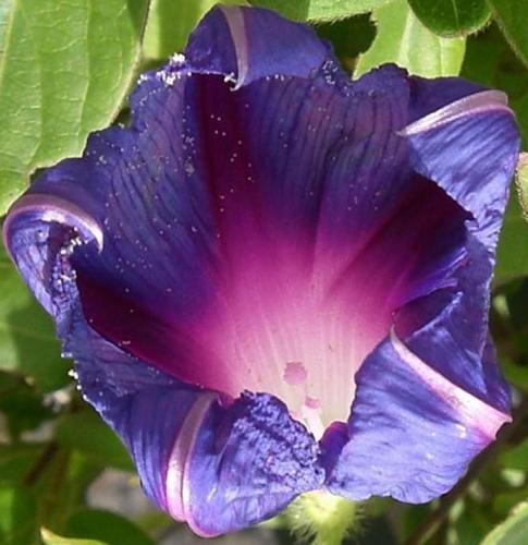 La nature nous étonne (2)