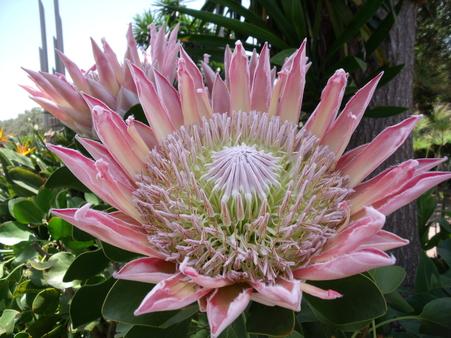 La nature nous étonne (2)