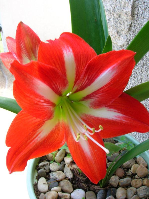 La nature nous étonne (2)