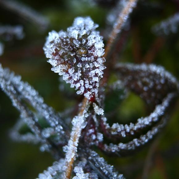 La nature nous étonne (2)