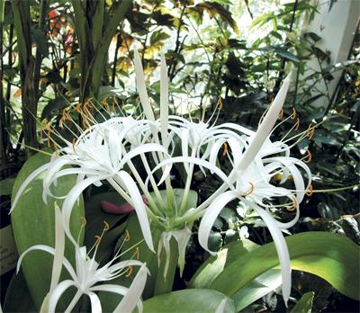 La nature nous étonne (2)