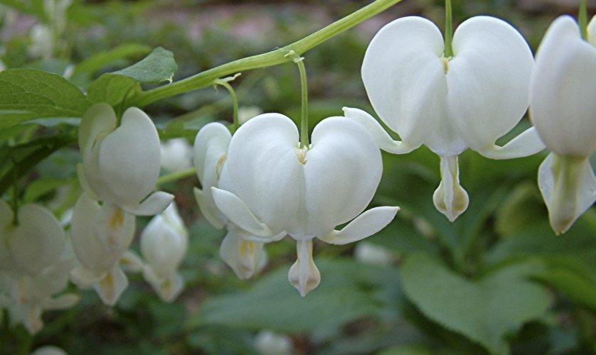 La nature nous étonne (2)