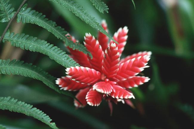 La nature nous étonne (2)