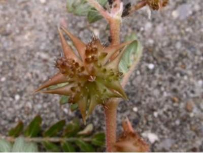 La nature nous étonne (2)