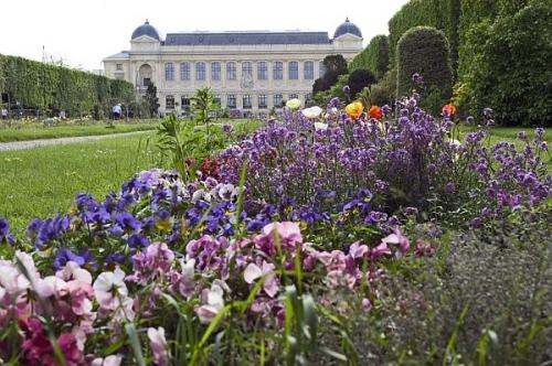 jardin_des_plantes.jpg