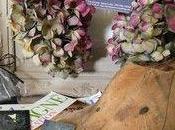 PASSIONNEMENT ...Un regard Admiratif porté créati...