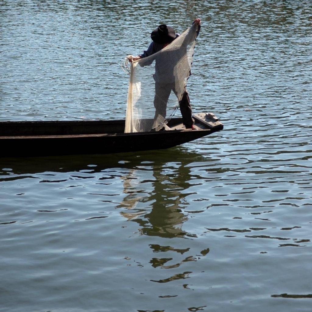 Festival de Loire (8377)