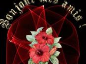 Quelques nouvelles Maroc Blog Nicole