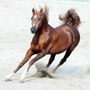 Quelques nouvelles du Maroc et Blog Nicole