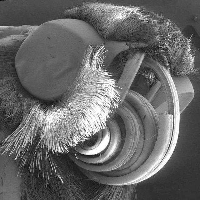 Le monde microscopique