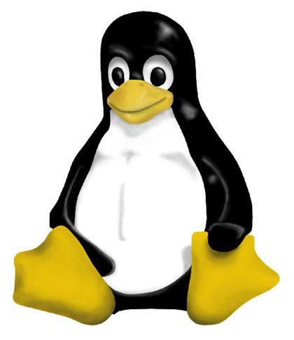 Développement Linux Embarqué Temps Réel - JPEG - 15.8 ko
