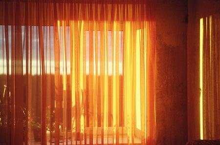 417-Alla_Nestulova_01