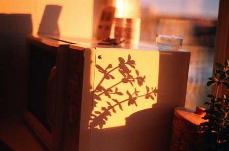 417-Alla_Nestulova_04