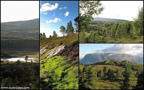 Destination vendredi en Norvège ! (5) Destination vendredi en Norvège ! (5)