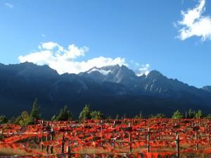 montagne-yunnan