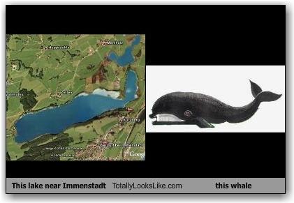 this-lake-near-immenstadt-totally-looks-like-this-whale