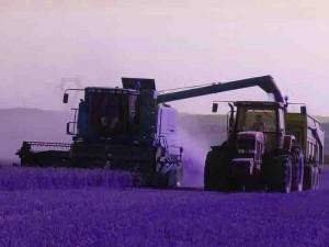 agriculture-crise des filières agricoles ps ps76 blog76