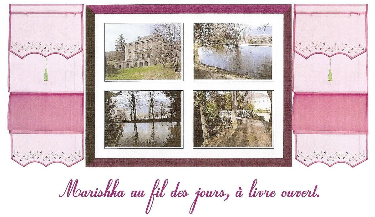 Clics de Carambaole , fondant au chocolat , Blog Esperance