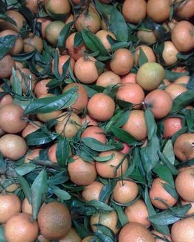 L’Autre gauche en marche