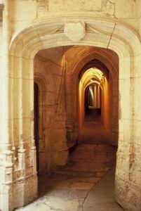 Qui ne saute pas n'est pas lyonnais traboule_lyon