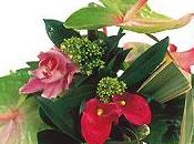 Bouquet Interflora RAMBI