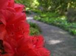 Photos : Christchurch et ses “botanical gardens”