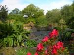 Photos : Christchurch et ses “botanical gardens”