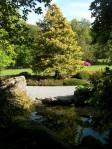 Photos : Christchurch et ses “botanical gardens”