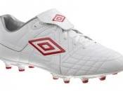 Speciali Umbro sous sapin Noël