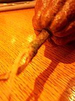 La Maison du Chocolat