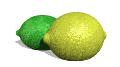 Le citron : trucs et astuces bis