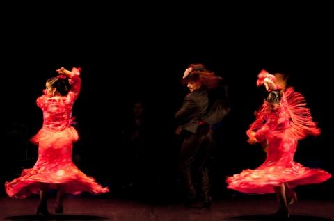 5e Festival International de Flamenco (2008)