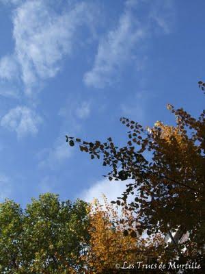 Ciel du lundi #17 - Toujours bleu