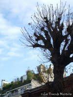 Ciel du lundi #17 - Toujours bleu