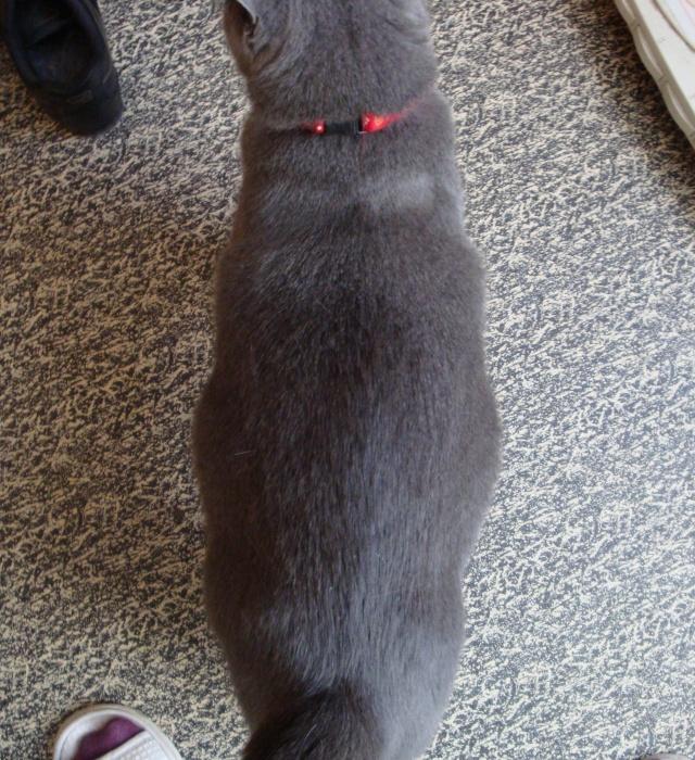 Vie quotidienne à Iriwal :)  (7)