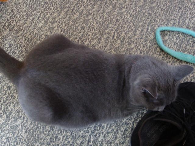 Vie quotidienne à Iriwal :)  (7)