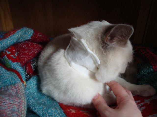 Vie quotidienne à Iriwal :)  (7)