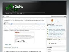 Aperçu du site Ginkoweb