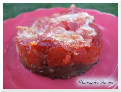 ≈ GRATINS D'AUBERGINES AUX TOMATES ET PARMESAN ≈