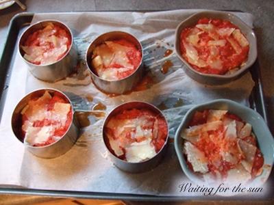 ≈ GRATINS D'AUBERGINES AUX TOMATES ET PARMESAN ≈