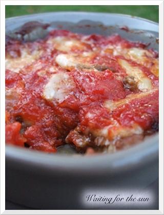 ≈ GRATINS D'AUBERGINES AUX TOMATES ET PARMESAN ≈