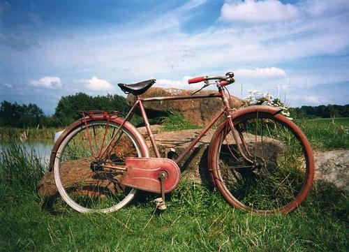 velo ecolo (Sondage ecolo) Le velo electrique cest ...