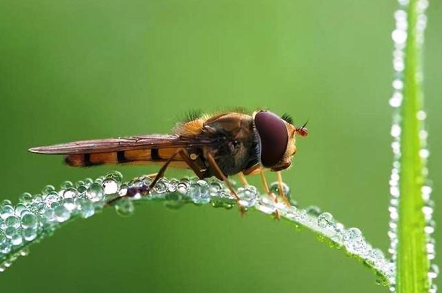Eux aussi sont mouillйs !