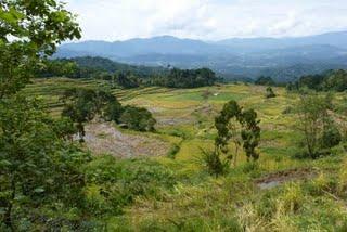 Tana Toraja : portraits et paysages