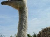 L'art parler...le besoin d'écouter